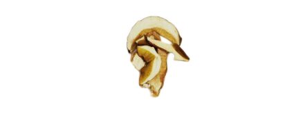 Funghi Porcini Categoria Speciale - immagine 2