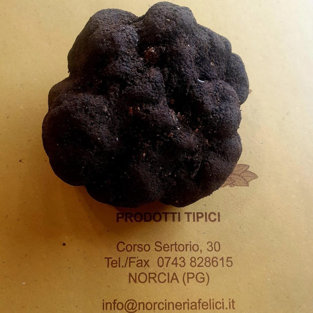dove acquistare il tartufo di norcia